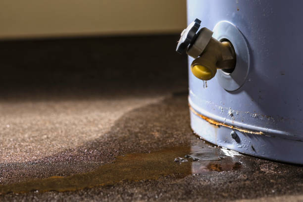 Best Sewage cleanup and water damage restoration  in North Edwards, CA