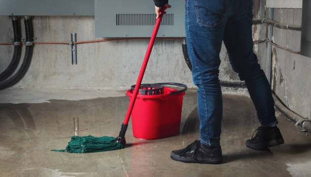 Best Professional water damage repair  in North Edwards, CA
