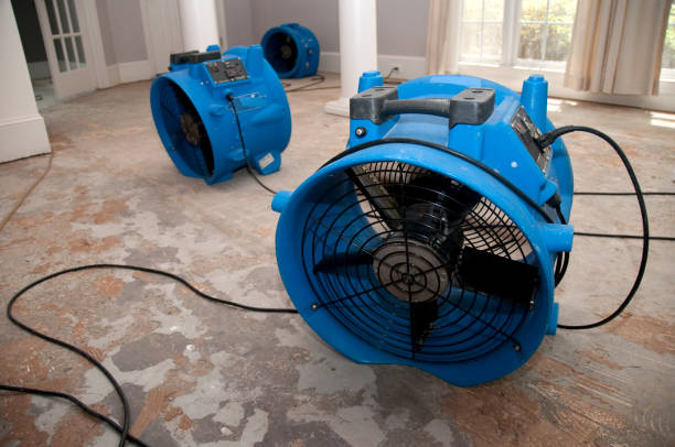 Best Carpet water damage restoration  in North Edwards, CA
