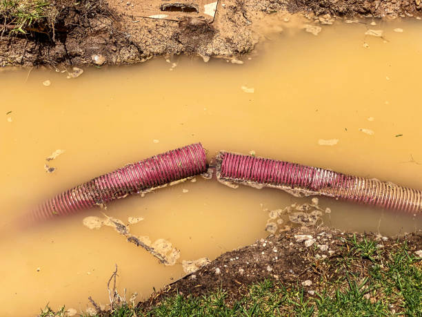 Best 24/7 water damage repair  in North Edwards, CA